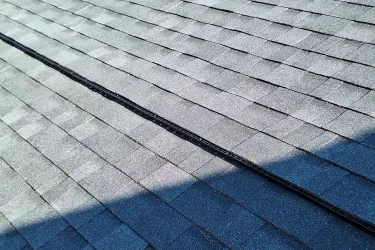 Darlene Kay Painting Project