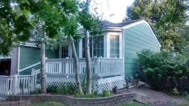 Darlene Kay Painting Project