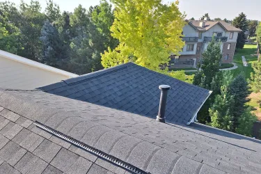 Darlene Kay Painting Project